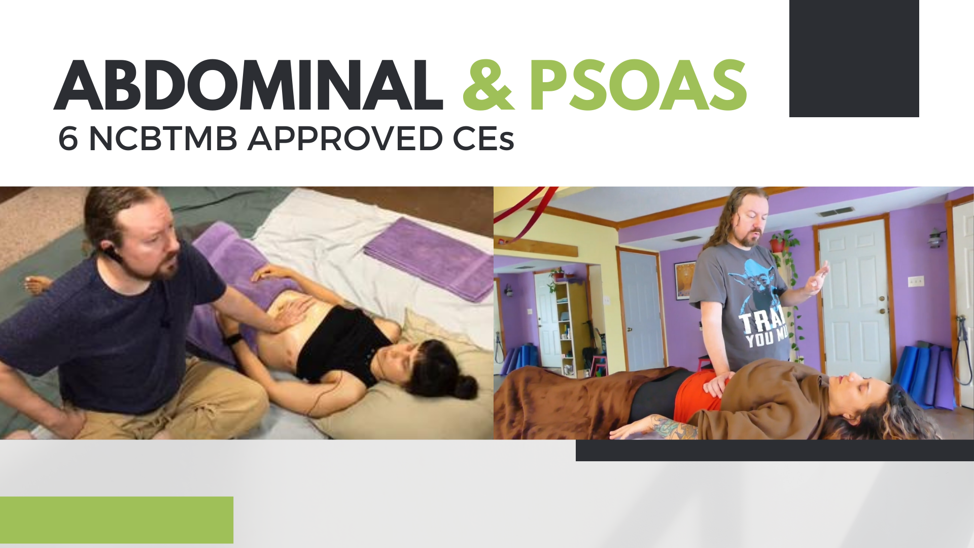 Abdominal & Psoas 6 NCBTMB Approved Homestudy CEs